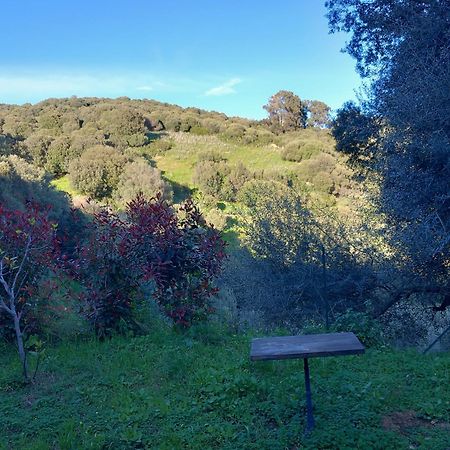 Villa A Croce Alata Esterno foto