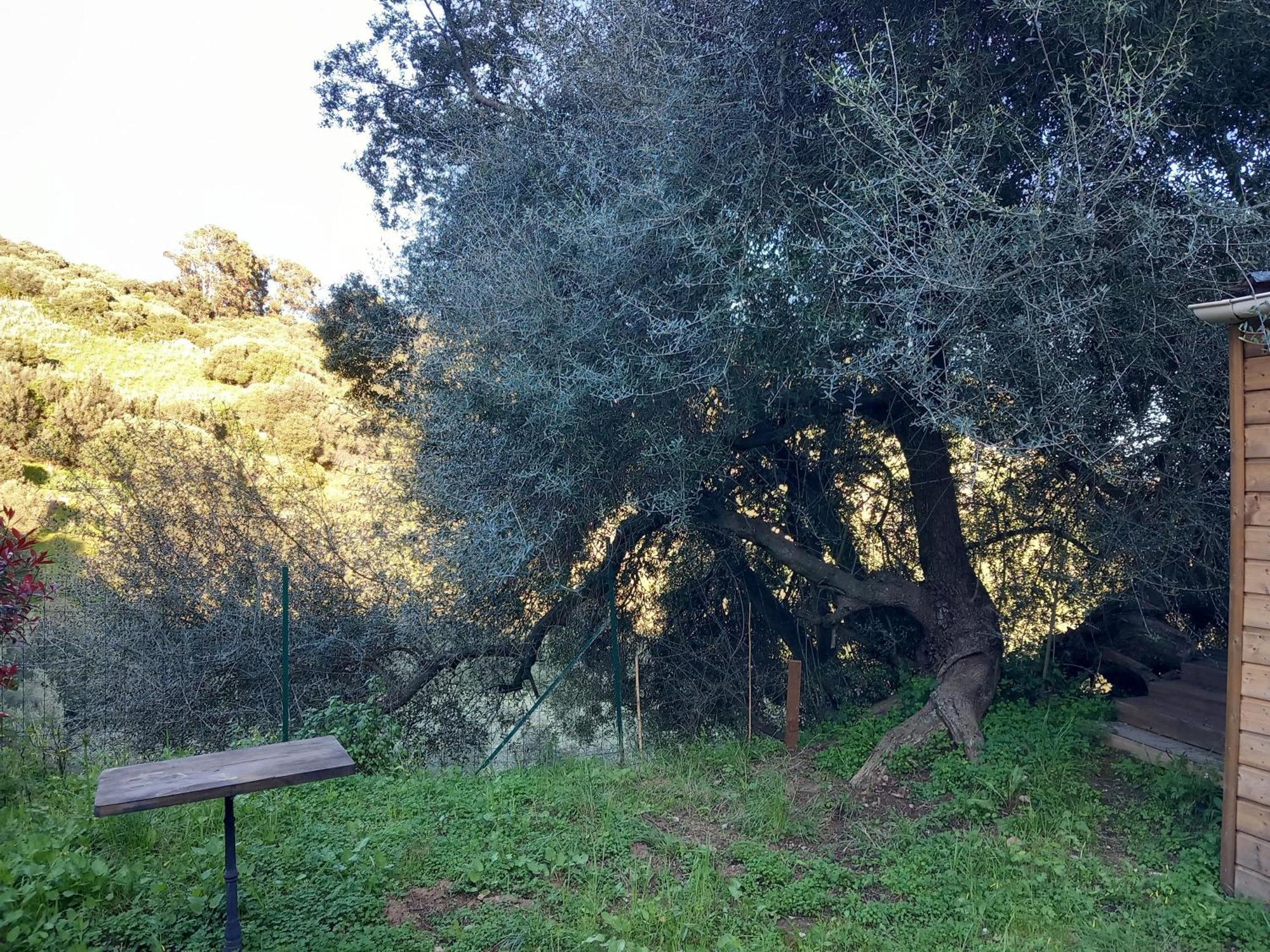 Villa A Croce Alata Esterno foto