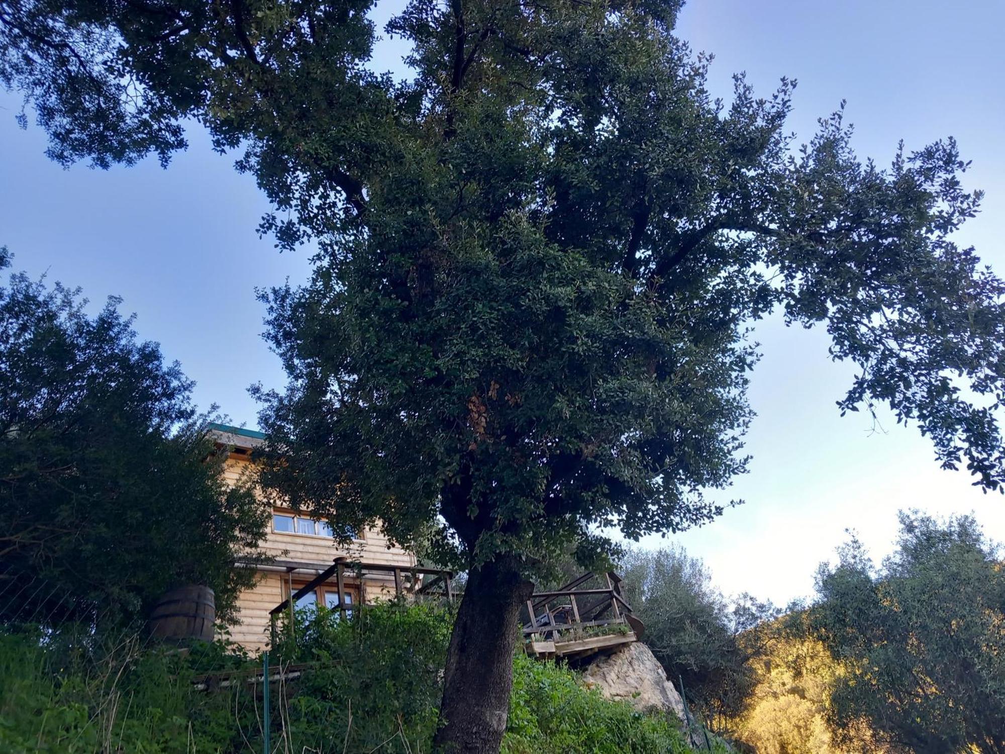 Villa A Croce Alata Esterno foto