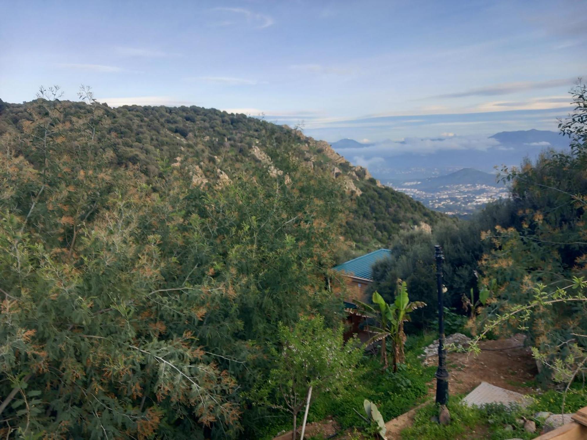 Villa A Croce Alata Esterno foto